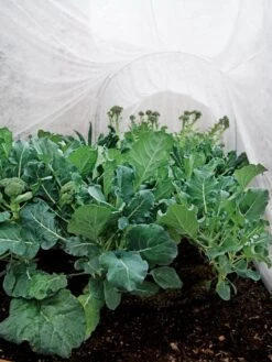 Summerweight Garden Fabric -Yard Tool Store 32644 7936 tif