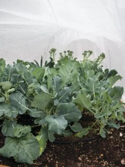 All-Purpose Garden Fabric -Yard Tool Store 32646 7940 tif