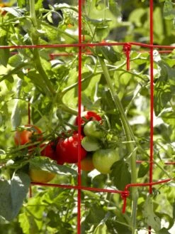 Tomato Cages, Set Of 4 9 Tomato Cages, Set Of 4 -Yard Tool Store 34182 592
