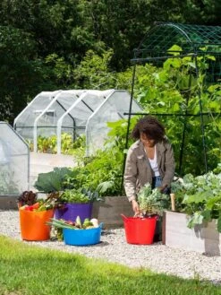 3-Season Plant Protection Tent, 3' X 6' 19 3-Season Plant Protection Tent, 3' X 6' -Yard Tool Store 35 592 0181 1