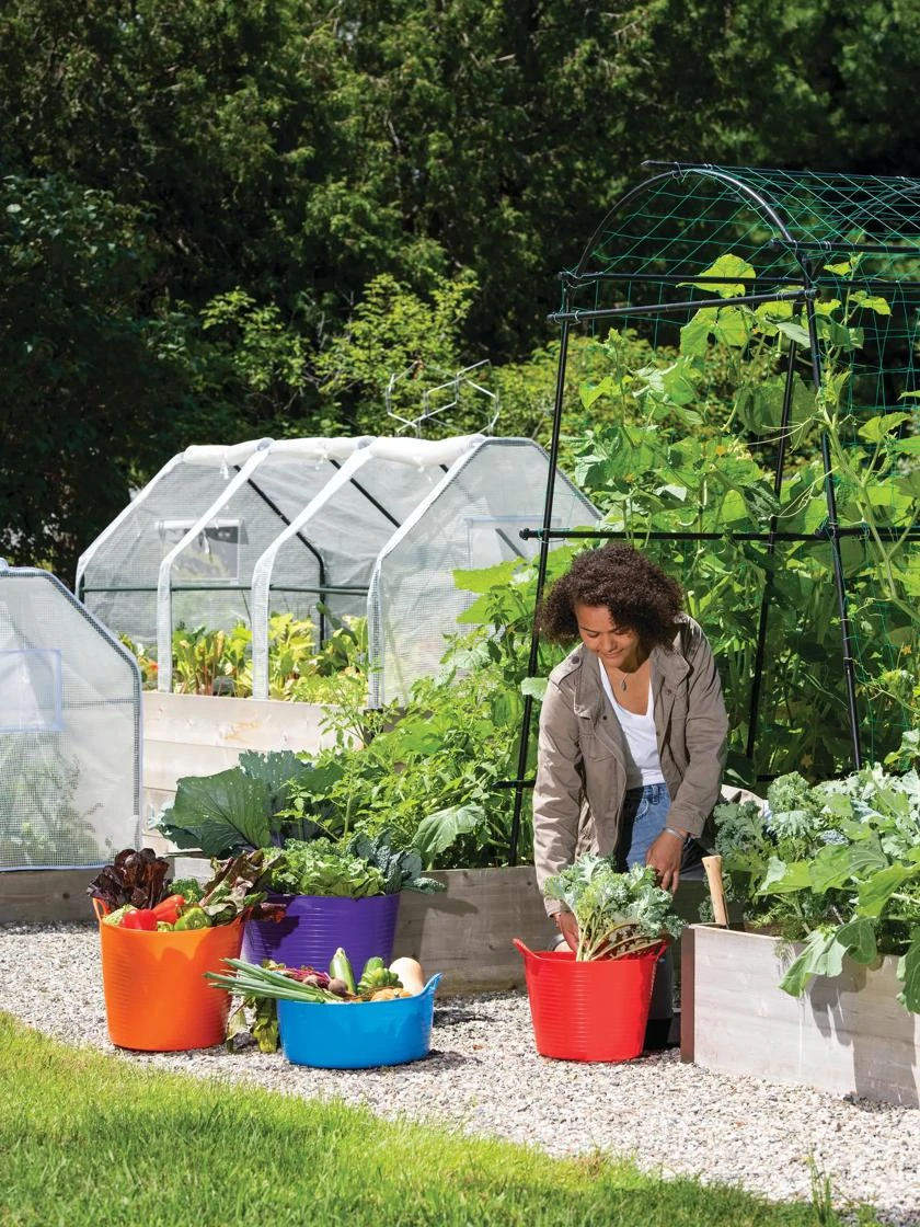 3-Season Plant Protection Tent, 4' X 8' 2 3-Season Plant Protection Tent, 4' X 8' - Image 2