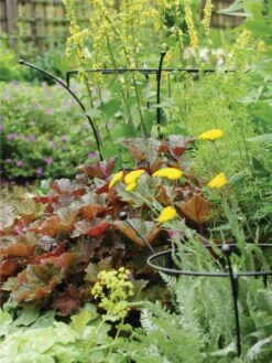 Essex Plant Supports -Yard Tool Store 37423 280 tif