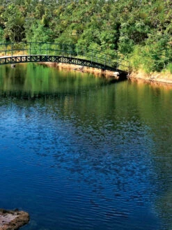 Aquasphere Pond Cleaners 6 Aquasphere Pond Cleaners -Yard Tool Store 37425 001ed 1