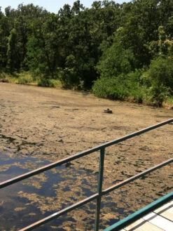 Blast, 2,500 Gallon, 5 Packets -Yard Tool Store 37425 001v 1 1