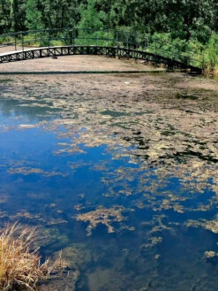 Aquasphere Pond Cleaners 7 Aquasphere Pond Cleaners -Yard Tool Store 37425 002ed 1