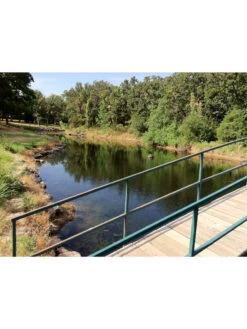 Blast, 125,000 Gallon, 12 Packets -Yard Tool Store 37425 002v 1