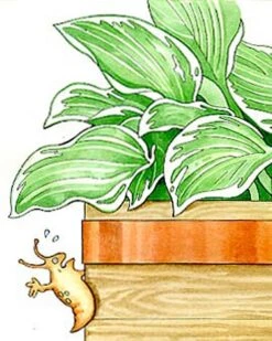 Copper Slug Tape 5 Copper Slug Tape -Yard Tool Store 38 994 b