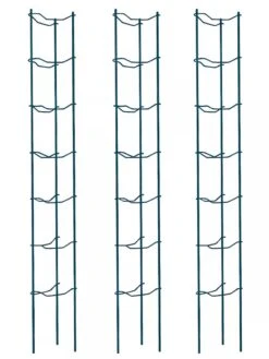 Tomato Ladders, Set Of 3 -Yard Tool Store 38184 002E psd