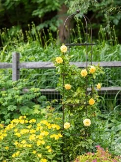 Jardin Round Obelisk, 7' 7 Jardin Round Obelisk, 7' -Yard Tool Store 39 530 1668 tif