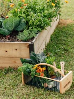 Garden Hods -Yard Tool Store 39 761 572 tif