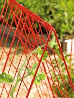 Deluxe Cucumber Trellis -Yard Tool Store 39806 542 tif