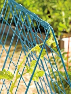 Deluxe Cucumber Trellis -Yard Tool Store 39806 BLUE 100 tif