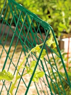 Deluxe Cucumber Trellis -Yard Tool Store 39806 GR edit tif