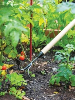 Gardener's Lifetime Long-Handled Double Tool 7 Gardener's Lifetime Long-Handled Double Tool -Yard Tool Store 3 4 crop 8592107 2460 tif
