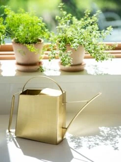 Precision Brass Watering Can