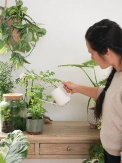 Pinpoint Indoor Watering Can 13 Pinpoint Indoor Watering Can -Yard Tool Store 3 4 crop 8612963 3774