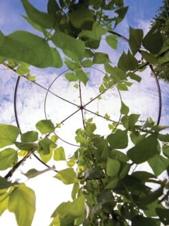 Jardin Tower -Yard Tool Store 3 4 crop 8612997 0033