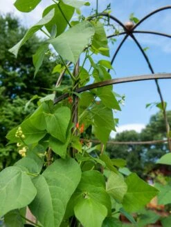 Jardin Tower -Yard Tool Store 3 4 crop 8612997 0058