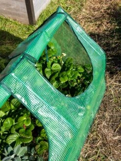 Multi Cloche -Yard Tool Store 3 4 crop 8613213 0240