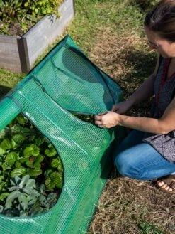 Multi Cloche -Yard Tool Store 3 4 crop 8613213 0245