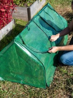 Multi Cloche -Yard Tool Store 3 4 crop 8613213 0250