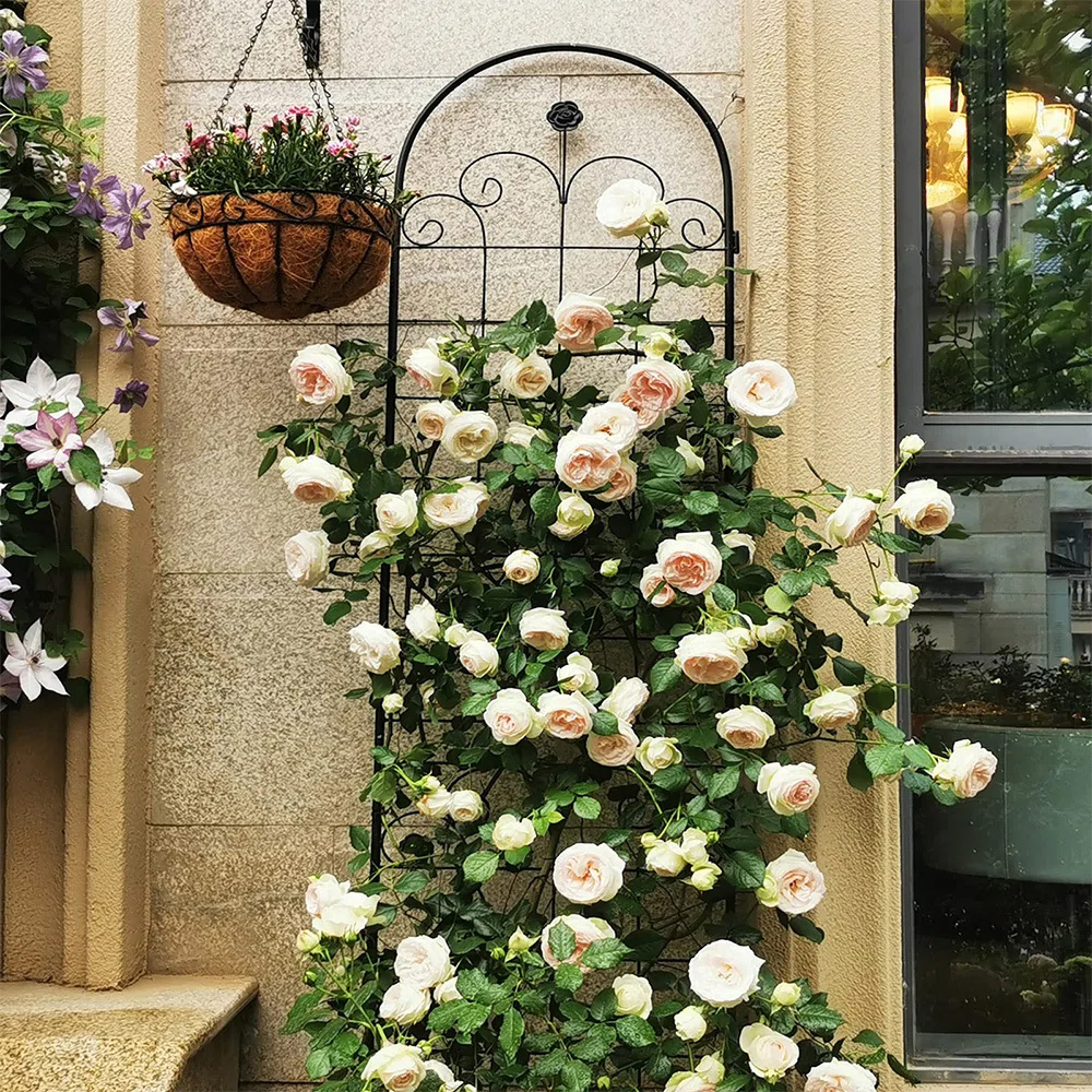 Yard Tool Store -Yard Tool Store 4