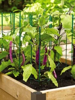 Pepper And Eggplant Stakes, Set Of 3 -Yard Tool Store 40308 2116 tif
