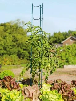 Stacking Tomato Ladders, Set Of 6 -Yard Tool Store 40309 100 tif