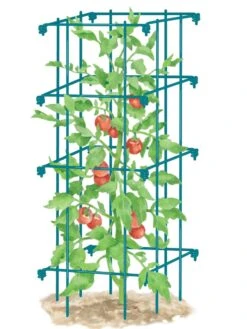 Tomato Cage, Single 6 Tomato Cage, Single -Yard Tool Store 8587039 TomatoCage BLUE tif