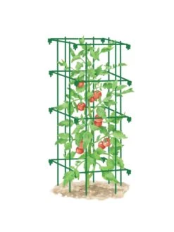 Tomato Cage, Single 7 Tomato Cage, Single -Yard Tool Store 8587039 TomatoCage GRN tif