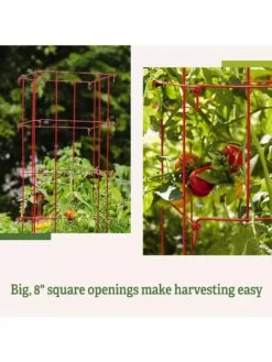 Tomato Cages, Set Of 4 13 Tomato Cages, Set Of 4 -Yard Tool Store 8587040 2