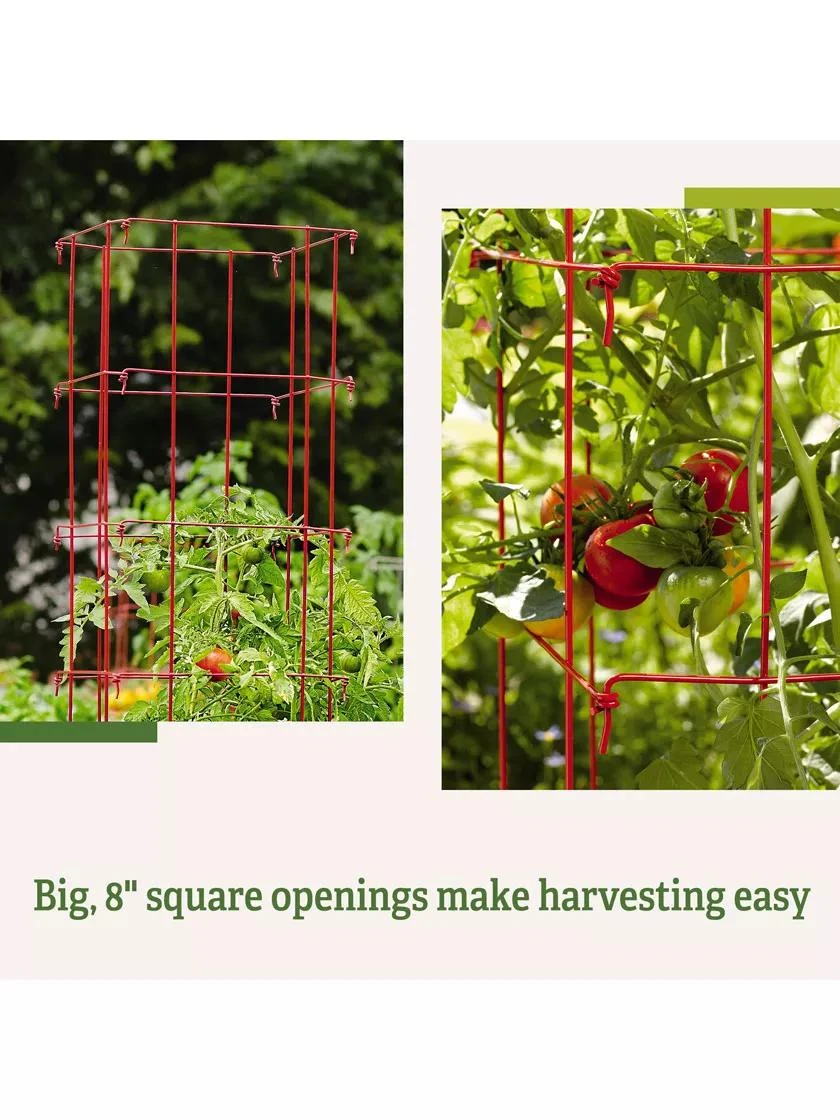 Tomato Cages, Set Of 4 7 Tomato Cages, Set Of 4 - Image 7