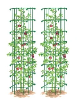 Tomato Towers, Set Of 2 -Yard Tool Store 8587041 0006 GRN tif