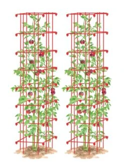 Tomato Towers, Set Of 2