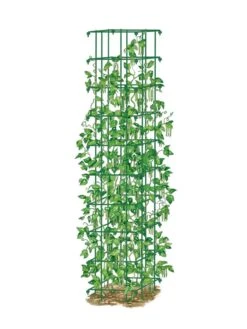 Bean Tower 11 Bean Tower -Yard Tool Store 8587060 0008 GRN tif