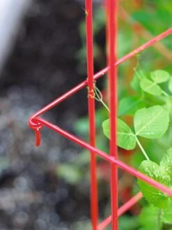 Tall Expandable Pea Trellis -Yard Tool Store 8587061 010 tif