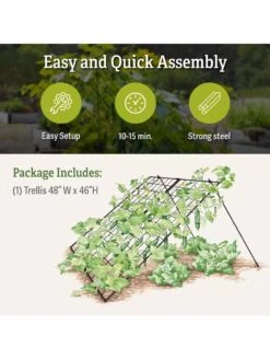 Large Cucumber Trellis 7 Large Cucumber Trellis -Yard Tool Store 8587082 product details