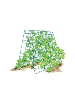 Deluxe Cucumber Trellis -Yard Tool Store 8587083 001 BLUE Cukes two sided deluxe cucumber trellis support storm blue 3 4