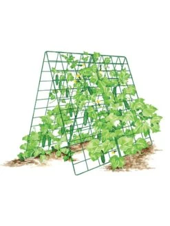 Deluxe Cucumber Trellis -Yard Tool Store 8587083 001 GRN tif