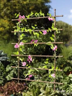 Jardin Ladder Trellis -Yard Tool Store 8587107 083 tif