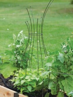 Jardin Pot Trellis -Yard Tool Store 8587120 7037 tif