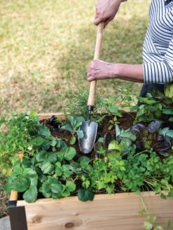 Gardener's Lifetime Raised Bed Trowel -Yard Tool Store 8588014 4084 tif