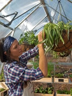 Canopia® By Palram Balance Greenhouse, 8' X 12' 29 Canopia® By Palram Balance Greenhouse, 8' X 12' -Yard Tool Store 8588023 07V jpg