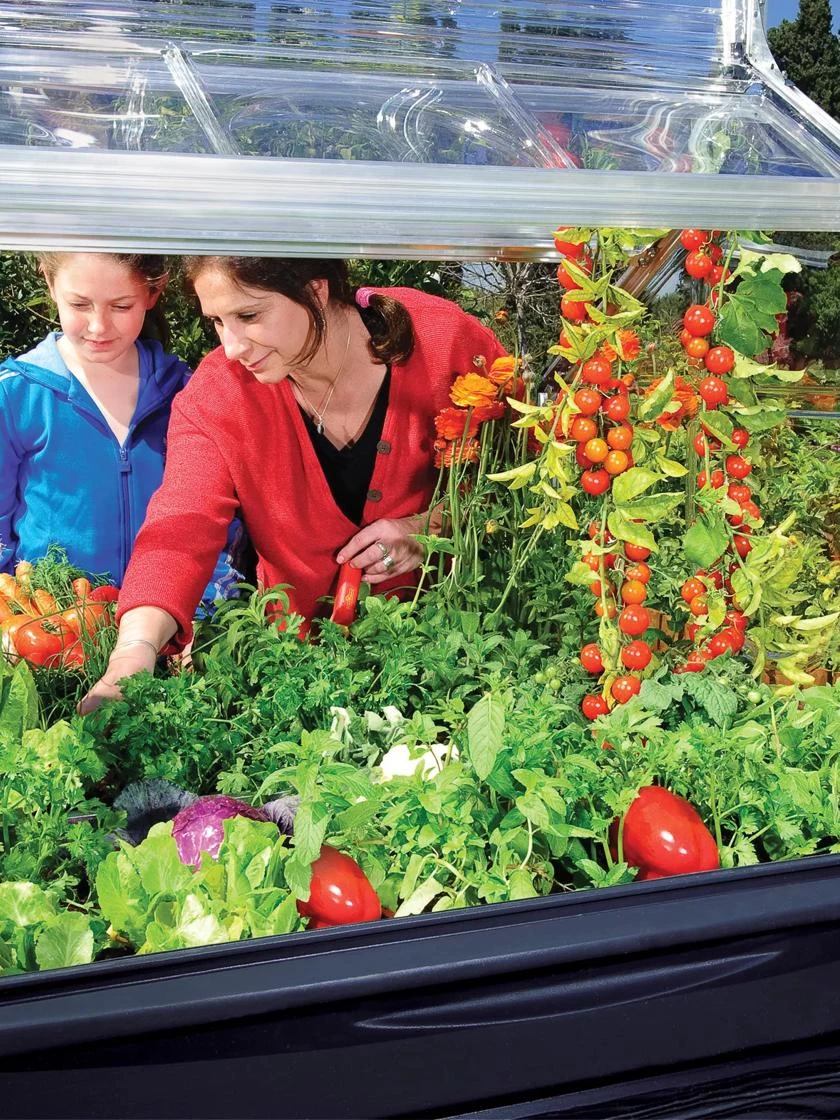 Canopia® By Palram Plant Inn™ Raised Bed Greenhouse, 4' X 4' 14 Canopia® By Palram Plant Inn™ Raised Bed Greenhouse, 4' X 4' - Image 14