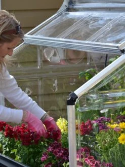 Canopia® By Palram Plant Inn™ Raised Bed Greenhouse, 4' X 4' 25 Canopia® By Palram Plant Inn™ Raised Bed Greenhouse, 4' X 4' -Yard Tool Store 8588308 04V tif