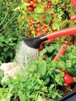 Canopia® By Palram Plant Inn™ Raised Bed Greenhouse, 4' X 4' 22 Canopia® By Palram Plant Inn™ Raised Bed Greenhouse, 4' X 4' -Yard Tool Store 8588308 06V tif