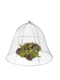 Chicken Wire Cloche -Yard Tool Store 8590210 675 tif