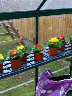 Canopia® By Palram Shelf Kit For Greenhouses, Set Of 2 Shelves -Yard Tool Store 8591033 09V jpg