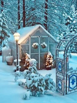 Canopia® By Palram Harmony™ Snap & Grow Greenhouse, 8' -Yard Tool Store 8591048 06V jpg