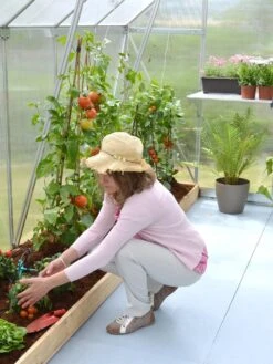 Canopia® By Palram Essence™ Greenhouse, 8' X 12' -Yard Tool Store 8591356 04V tif